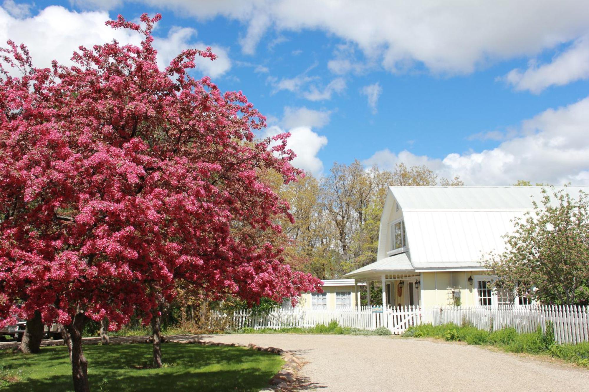 Hesperus Blue Lake Ranch المظهر الخارجي الصورة