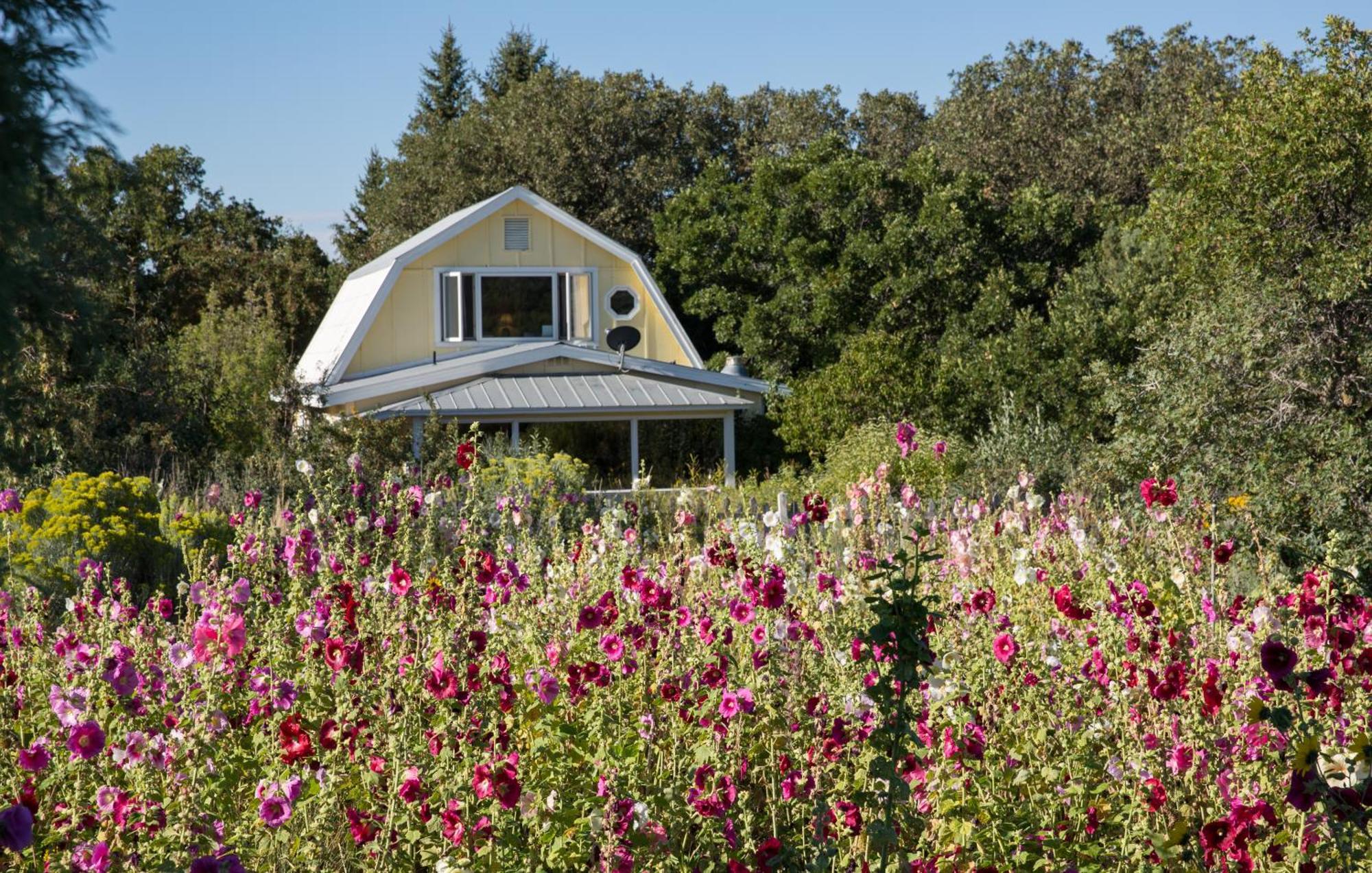 Hesperus Blue Lake Ranch المظهر الخارجي الصورة